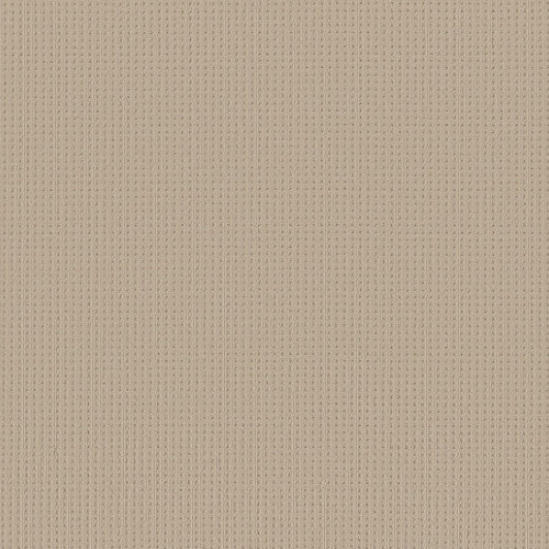 SAN LUCAS - Biscuit 00114