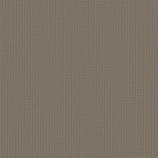 SAN LUCAS - Pewter 00577 SAN LUCAS - Pewter 00577