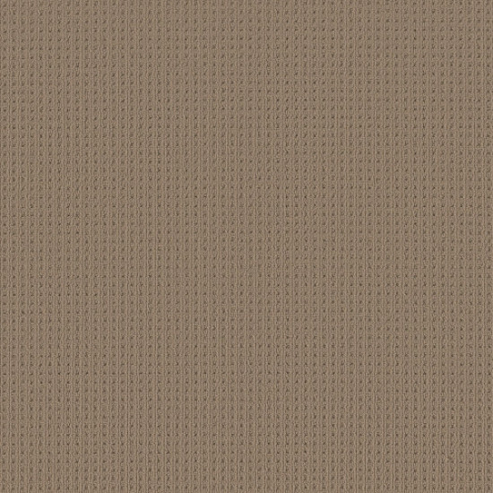 SAN LUCAS - Latte 00724