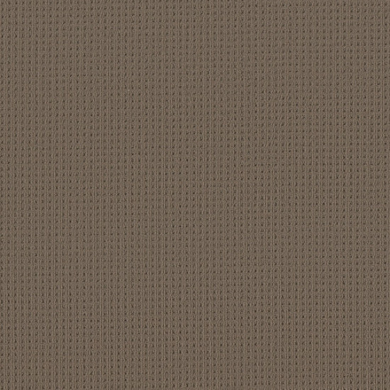 SAN LUCAS - Shingle 00758