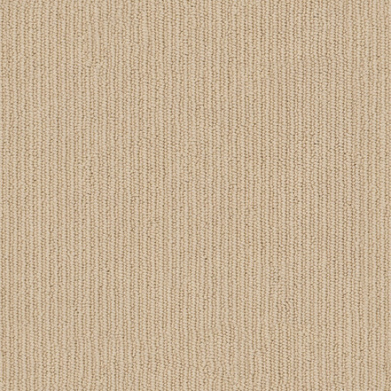 DYNASTY - Adobe 00125 DYNASTY - Adobe 00125