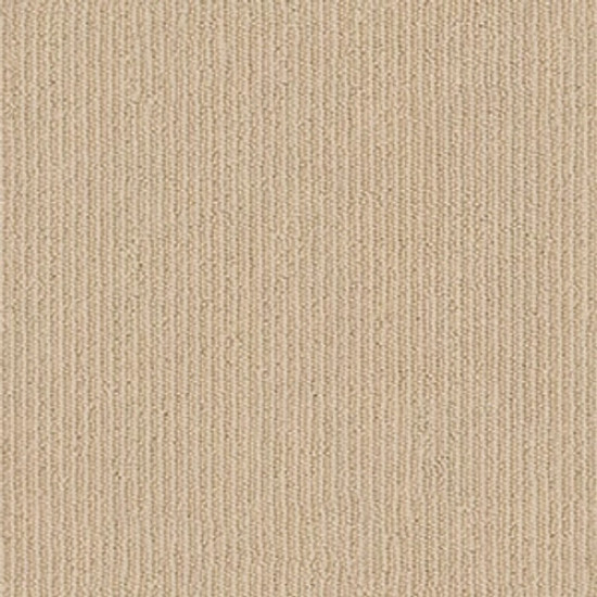 DYNASTY - Adobe 00125 DYNASTY - Adobe 00125