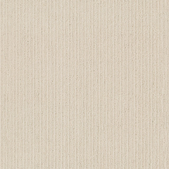 DYNASTY - Winter Light 00173