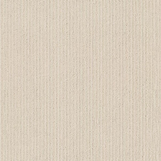 DYNASTY - Winter Light 00173