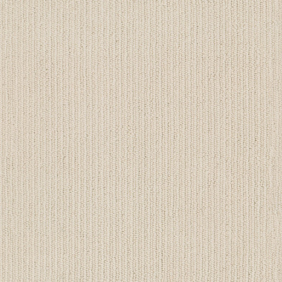 DYNASTY - Winter Light 00173