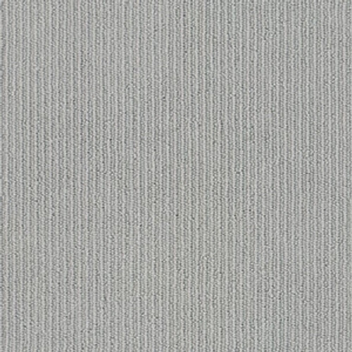 DYNASTY - Studio Gray 00544
