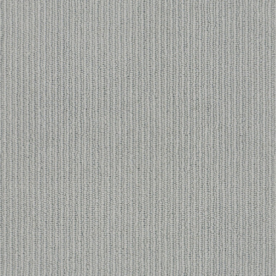 DYNASTY - Studio Gray 00544 DYNASTY - Studio Gray 00544