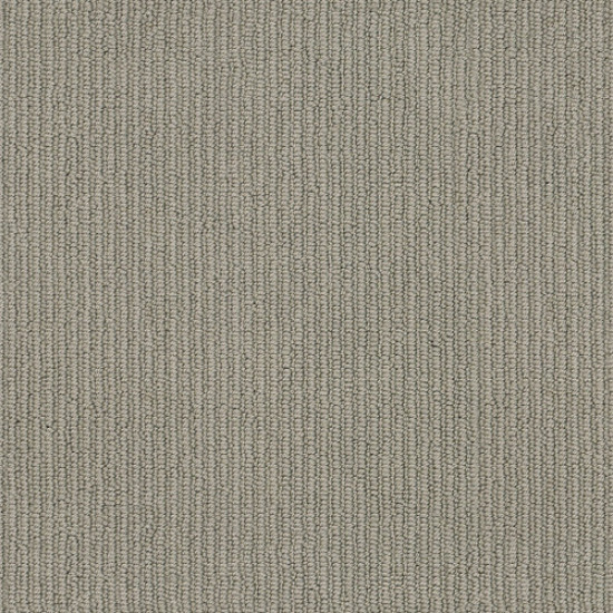 DYNASTY - Charleston 00556