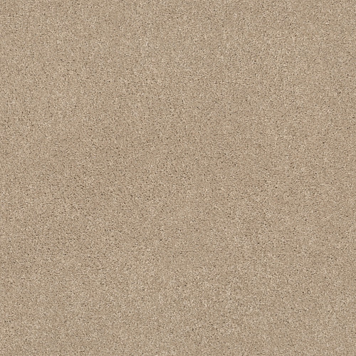EXPLORER - Shortcake 00112