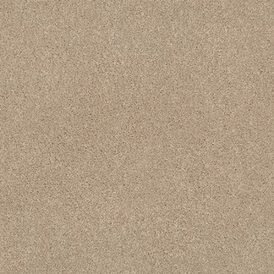 EXPLORER - Shortcake 00112 EXPLORER - Shortcake 00112