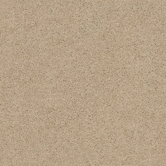 EXPLORER - Shortcake 00112 EXPLORER - Shortcake 00112