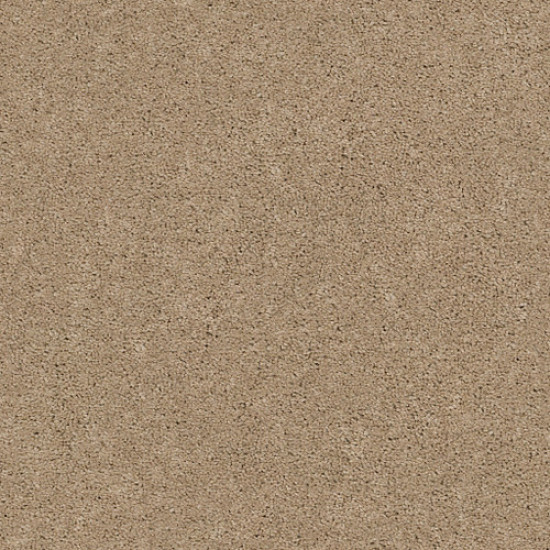 EXPLORER - Cookie Dough 00114