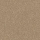 EXPLORER - Cookie Dough 00114