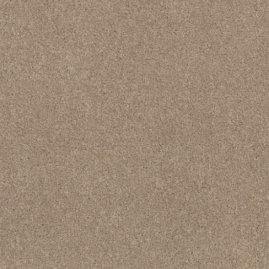 EXPLORER - Cookie Dough 00114