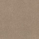 EXPLORER - Cookie Dough 00114