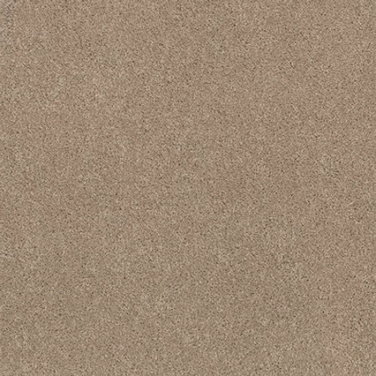 EXPLORER - Cookie Dough 00114