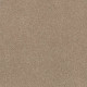 EXPLORER - Cookie Dough 00114