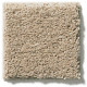 EXPLORER - Hazelnut Cream 00172 EXPLORER - Hazelnut Cream 00172