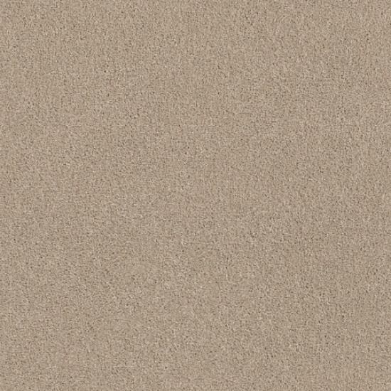 EXPLORER - Hazelnut Cream 00172 EXPLORER - Hazelnut Cream 00172