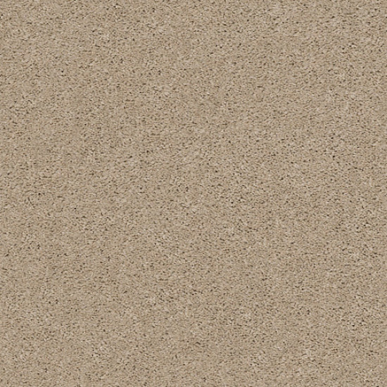 EXPLORER - Hazelnut Cream 00172 EXPLORER - Hazelnut Cream 00172