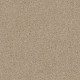 EXPLORER - Hazelnut Cream 00172 EXPLORER - Hazelnut Cream 00172