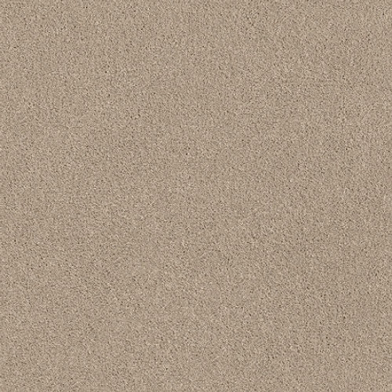 EXPLORER - Hazelnut Cream 00172 EXPLORER - Hazelnut Cream 00172
