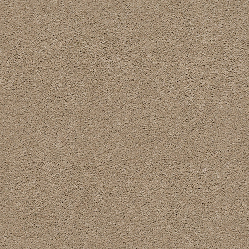 EXPLORER - Sierra Hills 00272