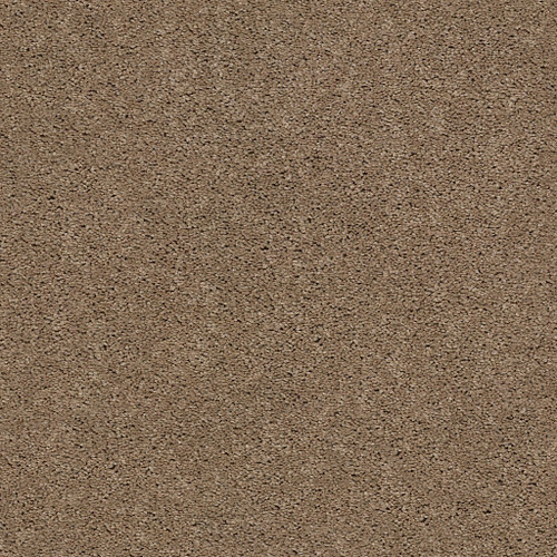 EXPLORER - Hillcrest 00274