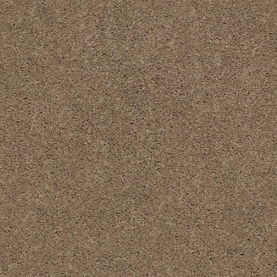 EXPLORER - Hillcrest 00274