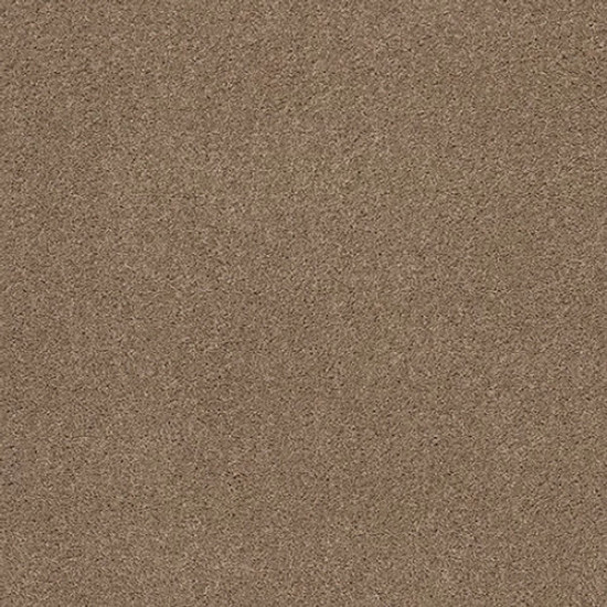 EXPLORER - Hillcrest 00274