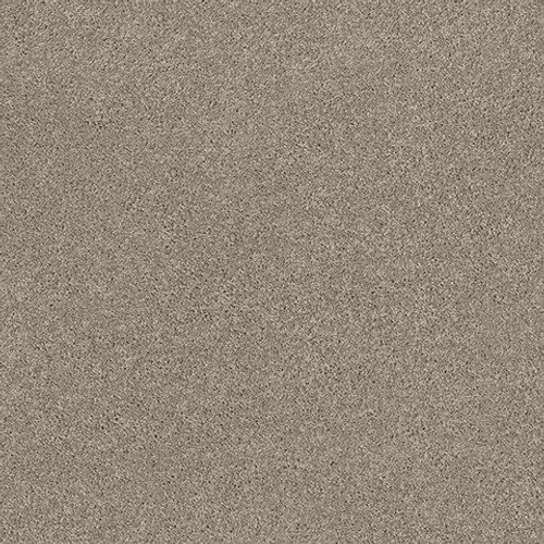 EXPLORER - Brushed Steel 00552