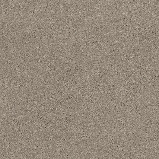 EXPLORER - Brushed Steel 00552 EXPLORER - Brushed Steel 00552