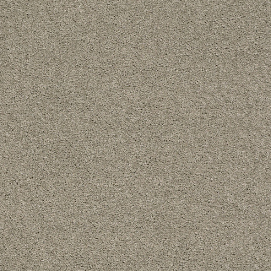 EXPLORER - Brushed Steel 00552 EXPLORER - Brushed Steel 00552