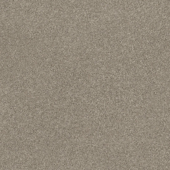 EXPLORER - Brushed Steel 00552 EXPLORER - Brushed Steel 00552