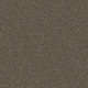 EXPLORER - Iron Gate 00556