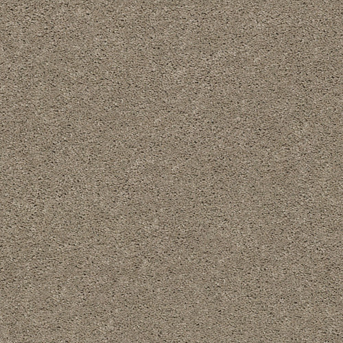EXPLORER - Dusty Road 00572