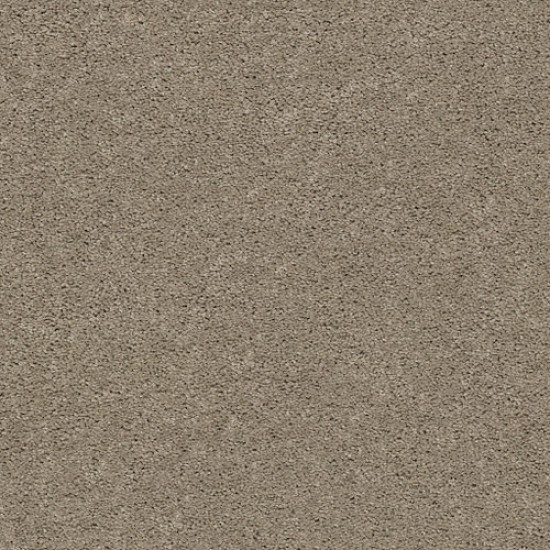EXPLORER - Dusty Road 00572