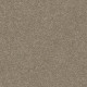 EXPLORER - Dusty Road 00572
