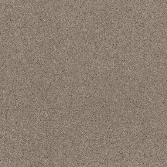 EXPLORER - Dusty Road 00572
