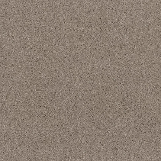 EXPLORER - Dusty Road 00572