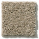 EXPLORER - Dusty Road 00572