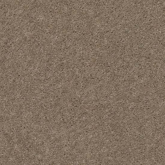 EXPLORER - Smokey Ash 00574