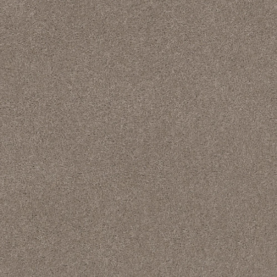 EXPLORER - Smokey Ash 00574