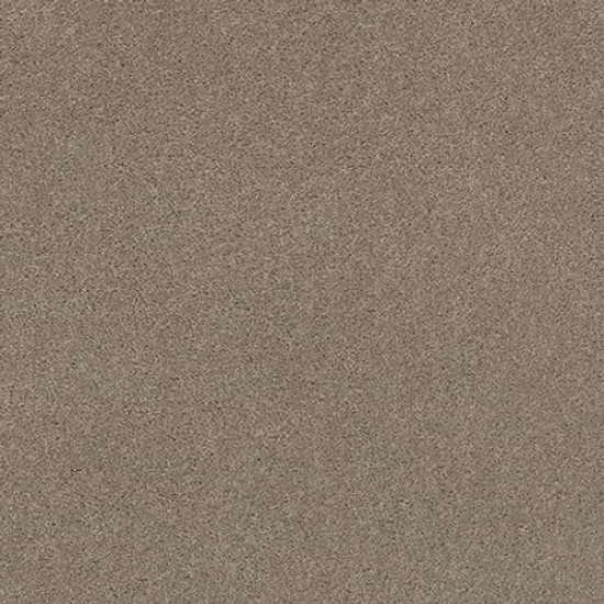 EXPLORER - Smokey Ash 00574
