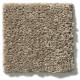 EXPLORER - Smokey Ash 00574