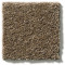EXPLORER - Free Spirit 00576