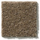 EXPLORER - Free Spirit 00576 EXPLORER - Free Spirit 00576