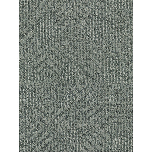 ARIO - Scenic Drive 00344