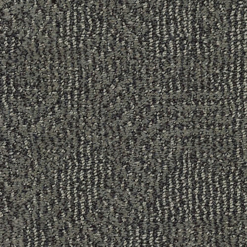 ARIO - Gunmetal 00558