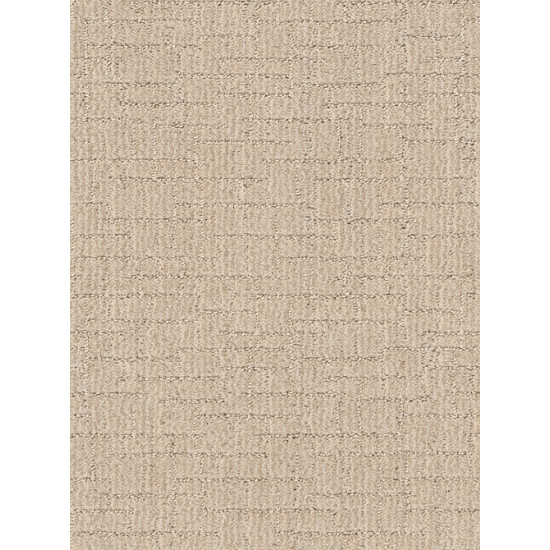 WAYFARER - Cotton Tail 00121